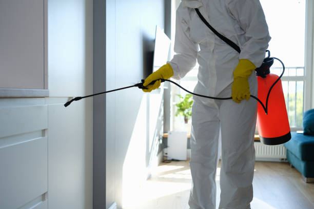 Best Toxic Mold Removal  in Warrior, AL