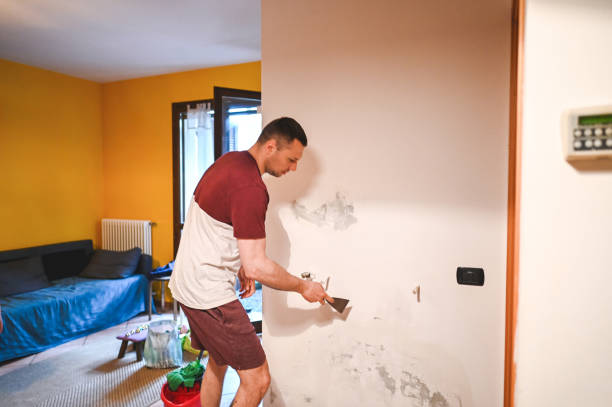 Warrior, AL Mold Removal Company